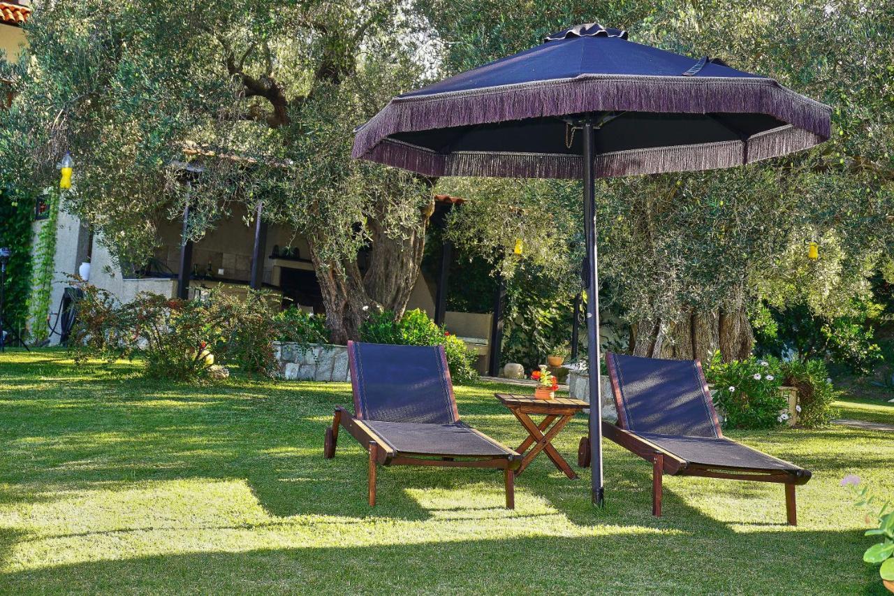 Villa The Cosy Olive Ormos Panagias Ngoại thất bức ảnh
